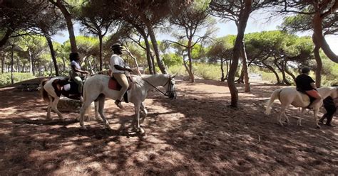 cruising chiclana|Horseback through the Pines